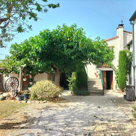 L'Habitacio De Can Rufa Maureillas Kültér fotó